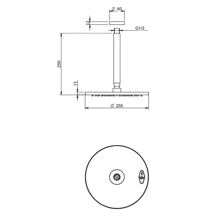 Antikalk Regenbrause mit Deckenanbindung aus Edelstahl - Shower Inox